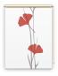 Preview: Rollo Ginkgo  grey-pfeffer, Motivrollo, Rollo mit Druck, Fotorollo, bedrucktes Rollo, Fensterrollo,verdunkelndes Rollo, Sonnenschutz Rollo